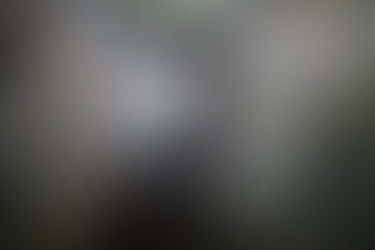 The Road to Liberation - 2nd January 1941