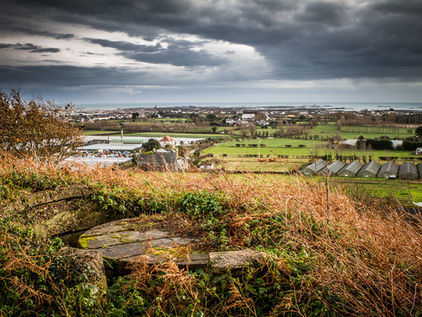 The Road to Liberation - 14th February 1941