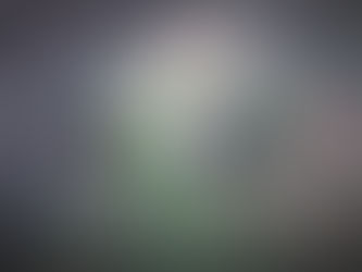 The Road to Liberation - 13th January 1941