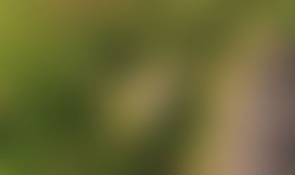 The Road to Liberation - 10th January 1941