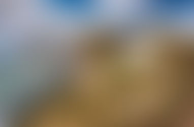 The Road to Liberation - 14th January 1941