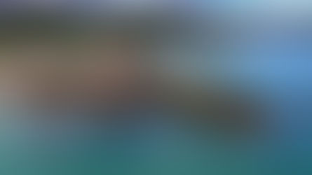 The Road to Liberation - 19th January 1941