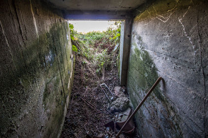 The Road to Liberation - 2nd February 1941