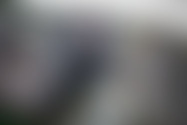 The Road to Liberation - 24th January 1941