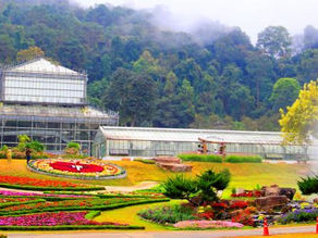 Pai  Romantic Tour 3 Days 2 Nights