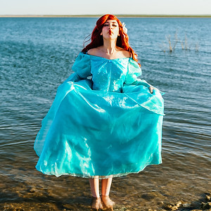 Ariel