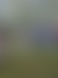 Wedding Day Timelines