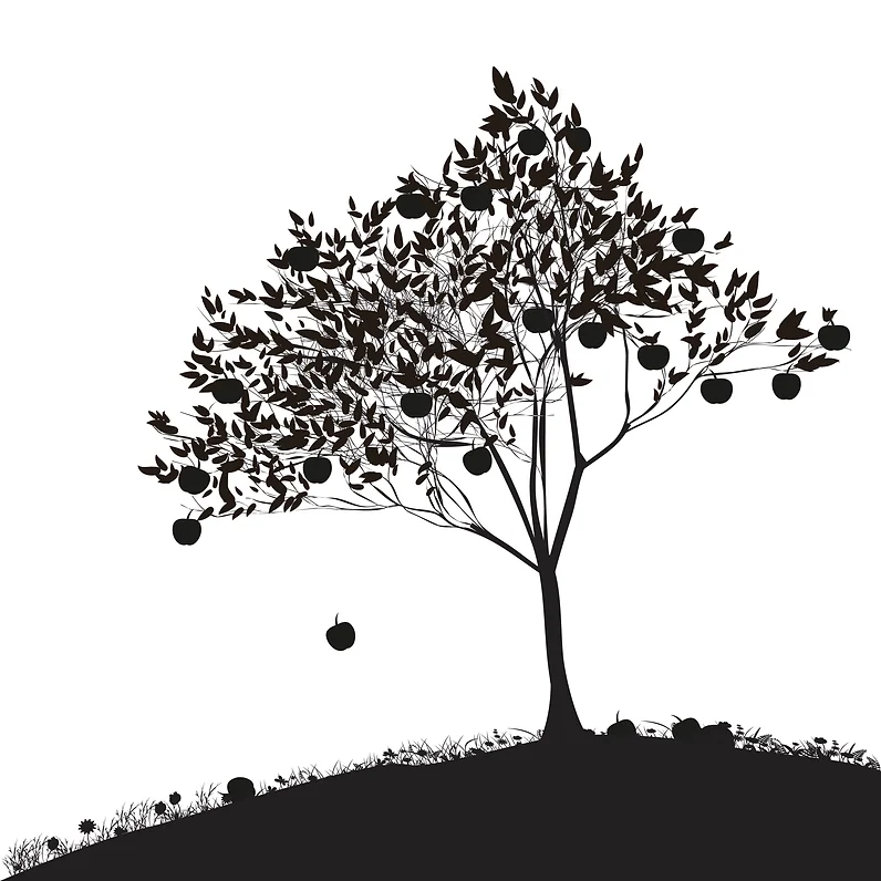 Relative Motion - Tree.webp