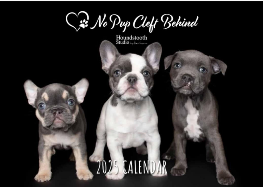 NPCB 2025 Wall Calendar