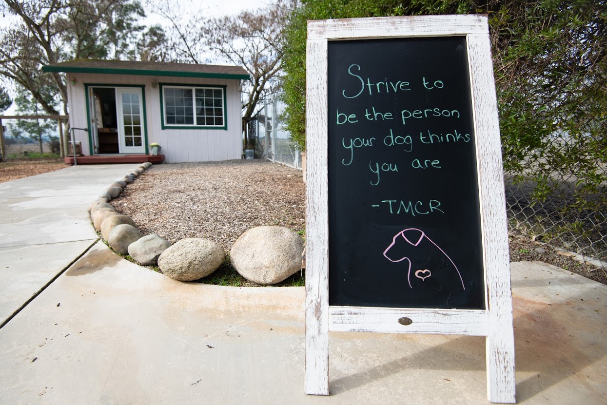 Taylor Mountain Canine Retreat