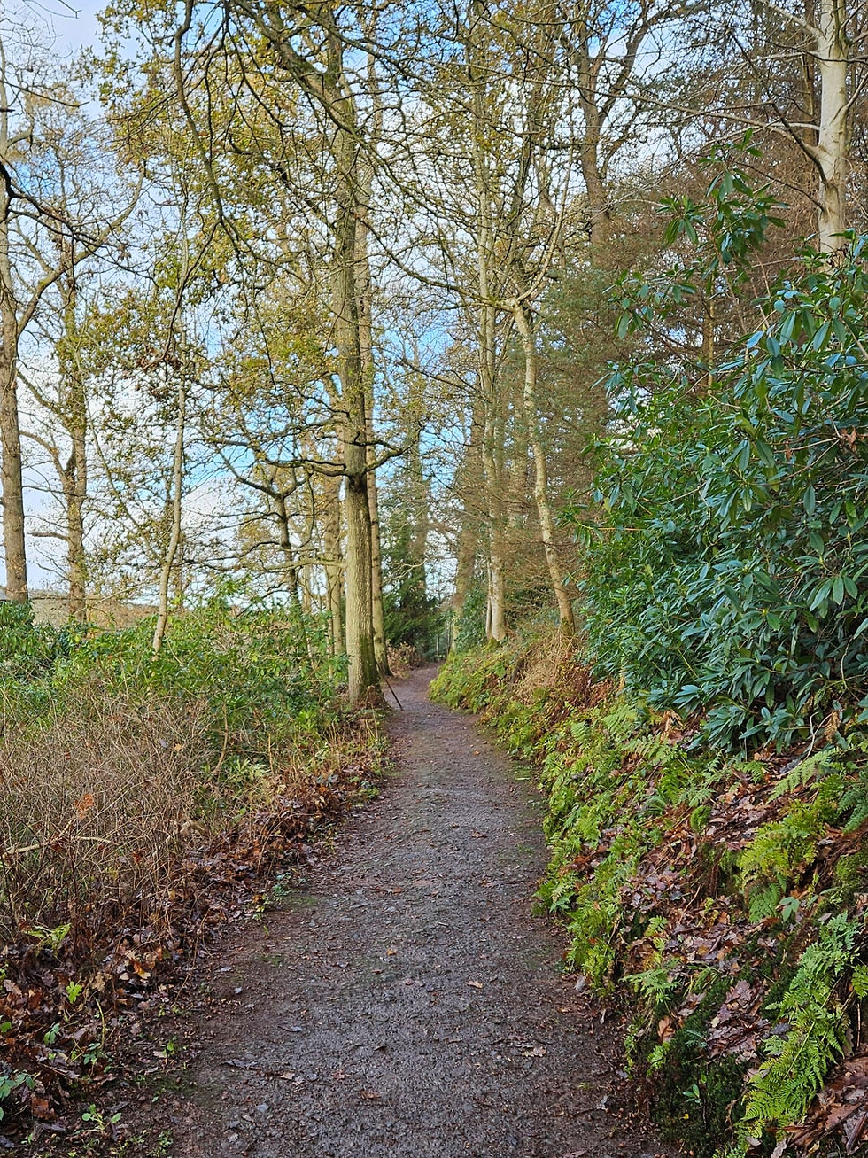 Back To The Old Routines