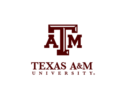 tam-stack.png