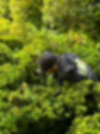 A028774B-8F89-4926-B95E-F9E8143E6C03.heic