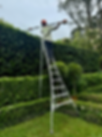 6FA9FAA9-1B27-4404-A3B8-2784AAB1C726.heic
