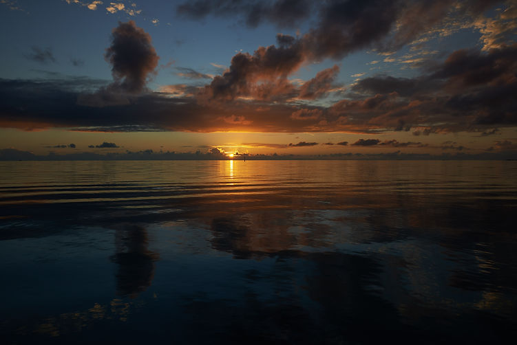 D60_6918c1.jpg
