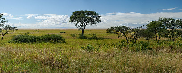_DZ63808_Panorama.jpg