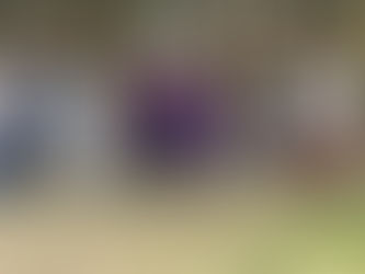 Se reúne Fabiola Ricci con mujeres arquitectas de San Cristóbal