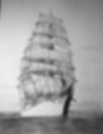 Sedov