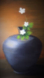 Clay vase with flowers