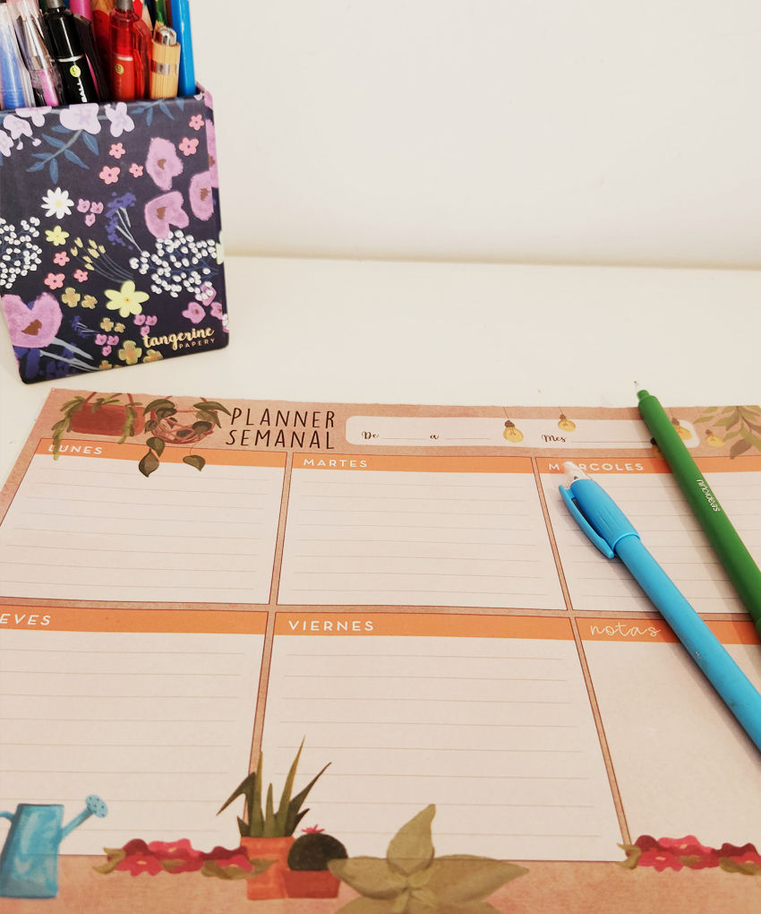 Miniatura: PLANNER ANUAL