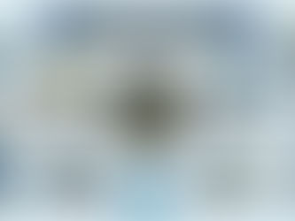 Role and Powers of the Reserve Bank of India under the Reserve Bank of India Act, 1934