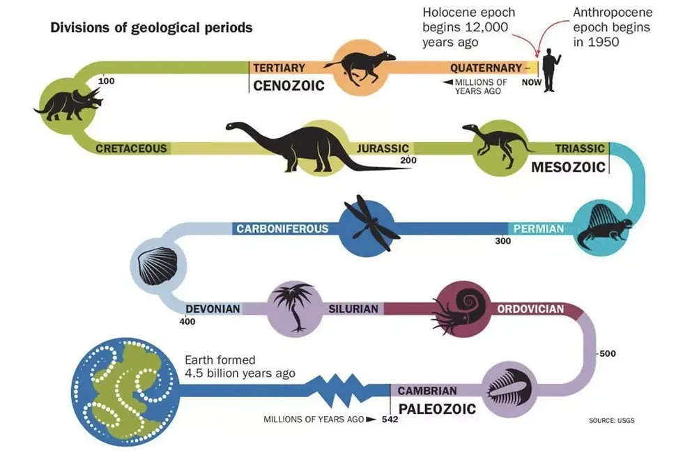 anthropocene epoch