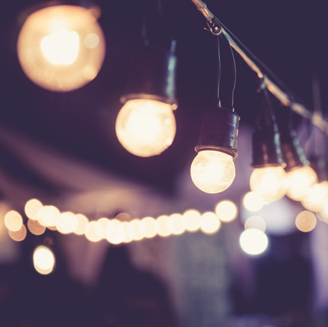 Festoon lighting - 50m $95