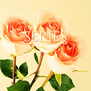 Three Sessions Emotion Code