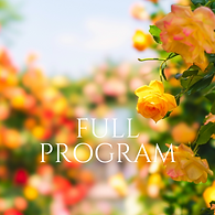 Full Program Emotion Code