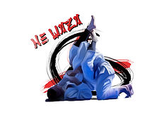 logo ne waza 1.jpg