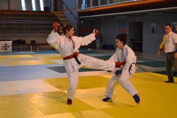 jujitsu fighting coulouniex chamiers