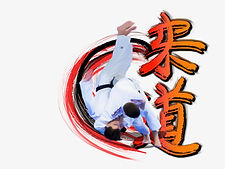 logo judo ados 2 et kanji.JPG