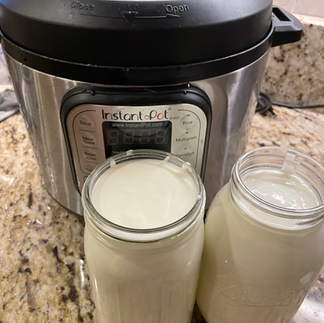 homemade raw milk yogurt