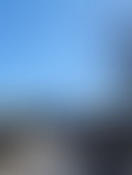 みてふれてかんじるマルシェ