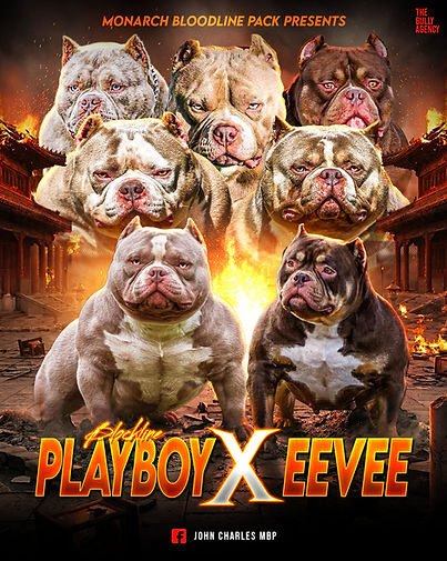PLAYBOY X EEVEE BREEDING BANNER.JPG