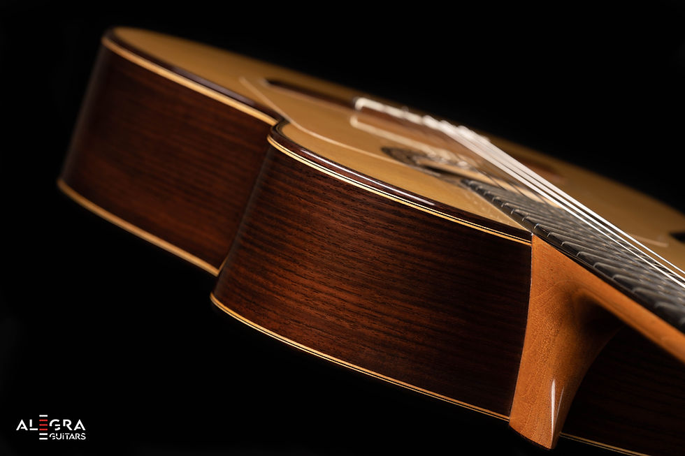 Thumbnail: 2019 Jose Gonzalez Lopez SP/IR Negra