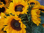 RBM Marriage and Family Therapy. Serving NY & CT