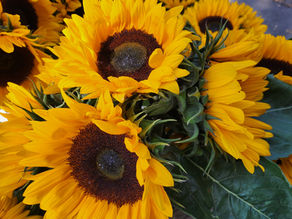 RBM Marriage and Family Therapy. Serving NY & CT