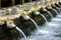 12.11.16 Tampaksiring, Pura Tirta Empul (49).JPG
