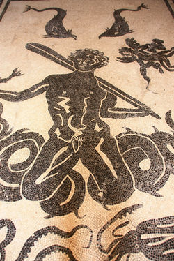 Erculano (26)