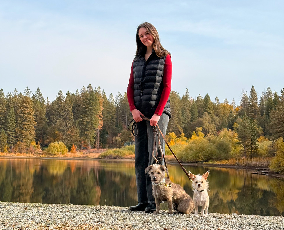 Dog Training with Katelyn and Bug and Gidget