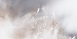 Goddess on the Last Train