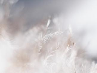 Fear, PTSD & Your Soul Aura