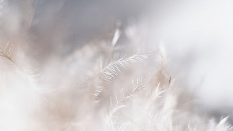 Hypnotherapy in South Florida - Grounded Visions Wellness