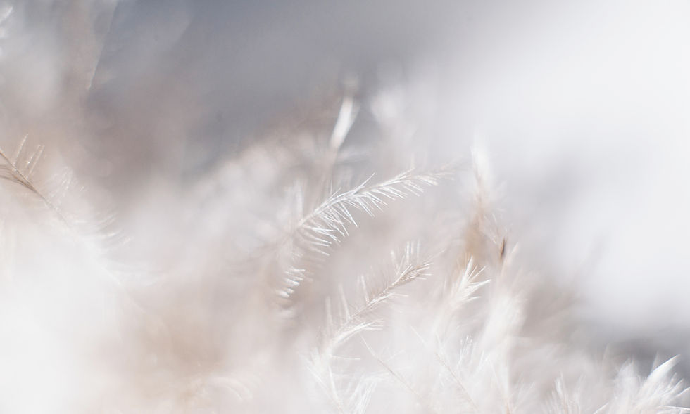 White Plants