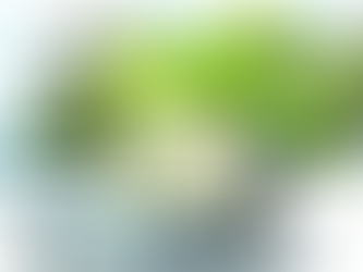 Open a Company Overseas and Global Tax law : things you need to know !