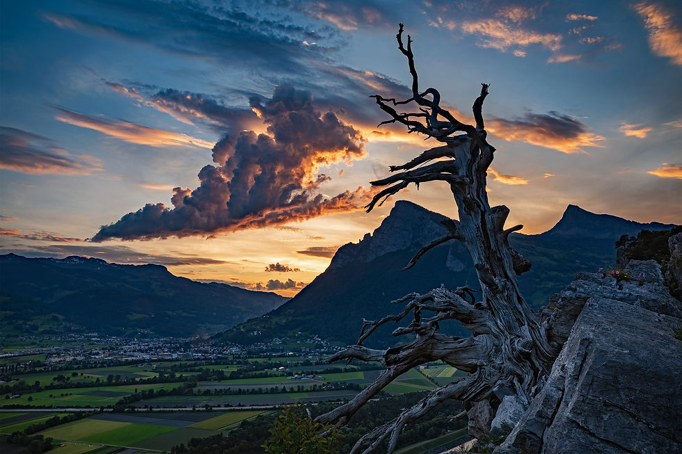 Monster in a Cloud