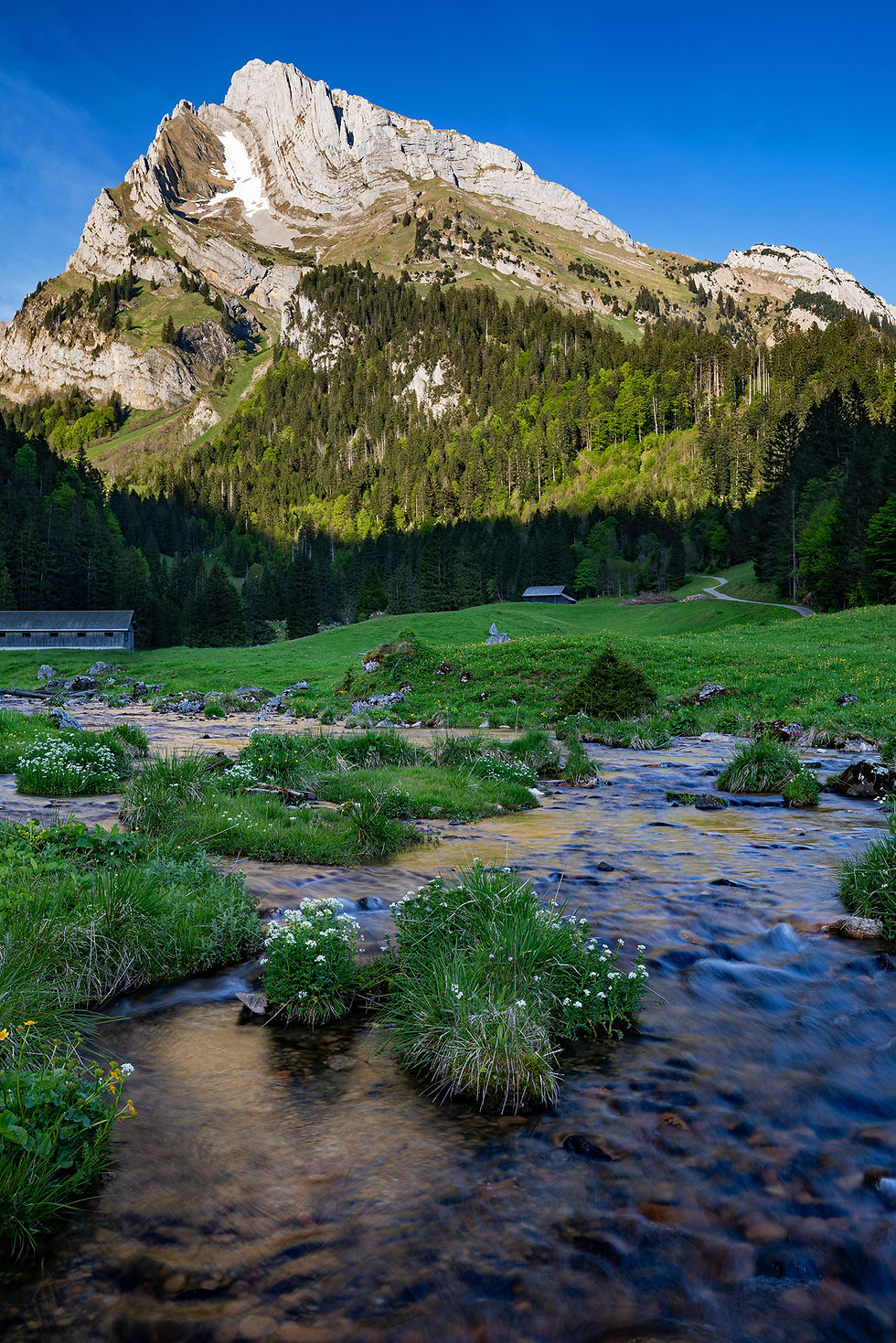 Wildhauser Schafberg