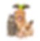 pets.png