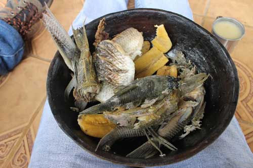 COFAN Education Project